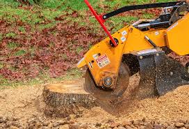 Best Aeration Services  in Bowie, TX